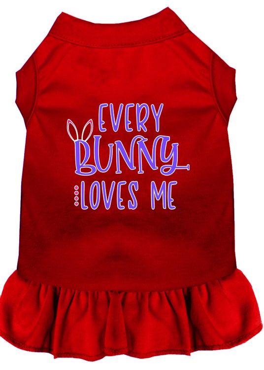 Every Bunny Loves me Screen Print Dog Dress Red XS